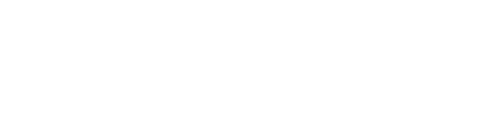 Roxes Studios